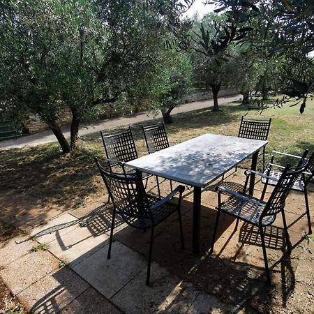 App Carla Διαμέρισμα Novigrad Istria Εξωτερικό φωτογραφία