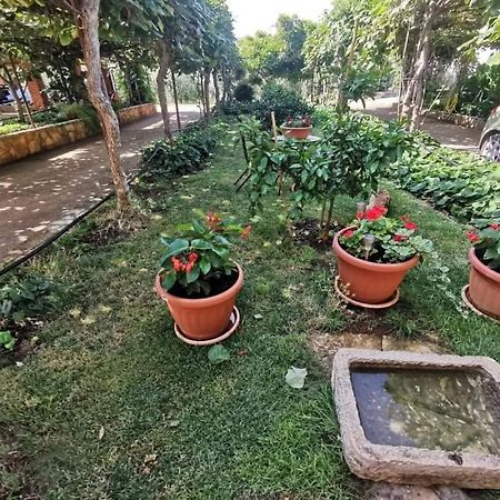 App Carla Διαμέρισμα Novigrad Istria Εξωτερικό φωτογραφία