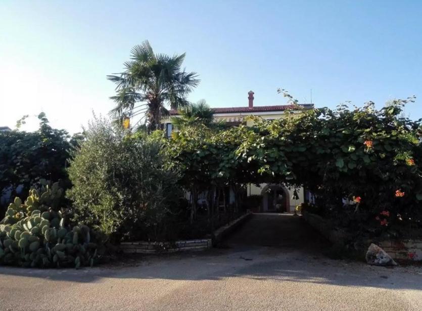 App Carla Διαμέρισμα Novigrad Istria Εξωτερικό φωτογραφία