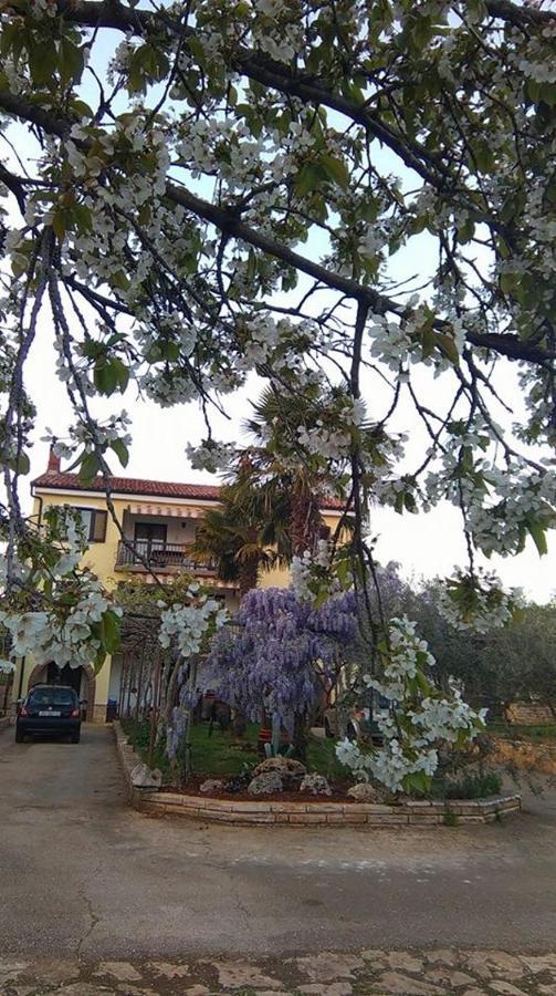 App Carla Διαμέρισμα Novigrad Istria Εξωτερικό φωτογραφία