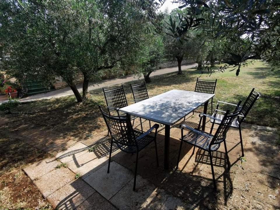 App Carla Διαμέρισμα Novigrad Istria Εξωτερικό φωτογραφία