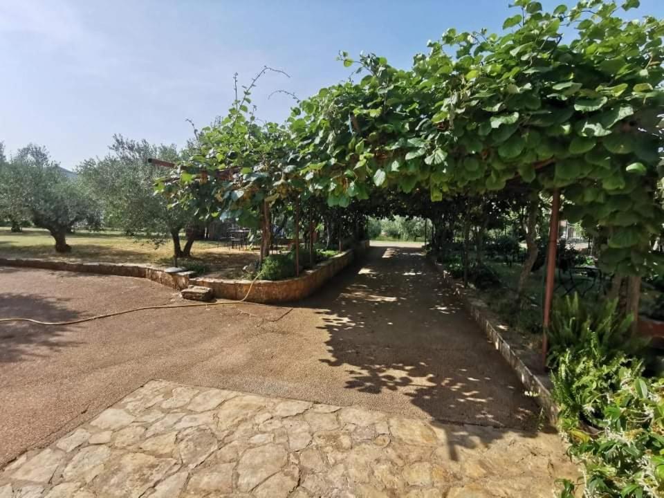 App Carla Διαμέρισμα Novigrad Istria Εξωτερικό φωτογραφία